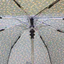 Armação Guarda-chuva